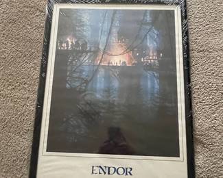 Framed 1986 Endor Star Tours Poster