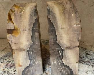 Petrified Wood Bookends
