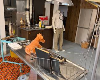 A vet office in a basement, not weird! 