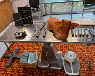 Recreation of our client’s Highland Park (Chicago area) veterinary clinic.