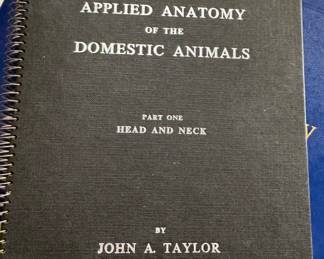 Part one- head and neck!