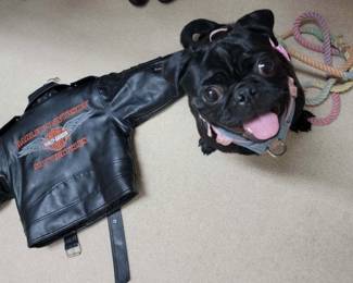 Moira gears up for a Harley ride