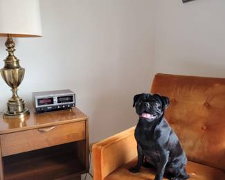 Moira models vintage 