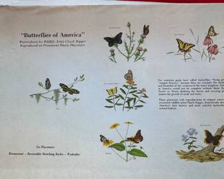Butterflies of America placemats