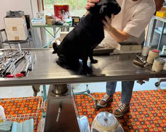 Moira’s check-up went great!