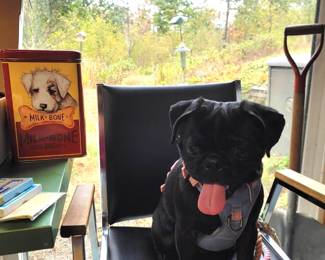 Moira waits for the doctor