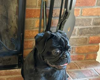 Moira warm by the fireplace