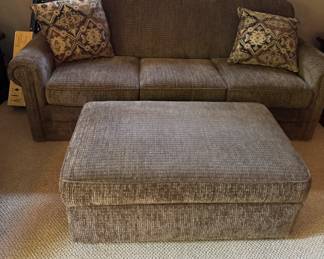 Contemporary sleeper sofa with storage ottoman 