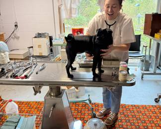 Moira goes to the vet!