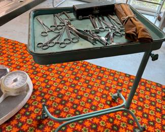 Vintage metal medical cart purchased from an auction at the Northern Michigan Asylum in Traverse City