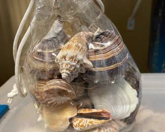 Sea shells.