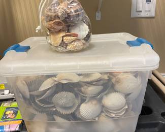 Tote of sea shells.