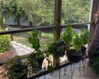 Plant rescuers welcome. Search and rescue!