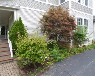 For prices & more info, copy & paste link:  https://beforeudemo.com/sales-event/wheaton-victorian-style-home-demolition-sale/