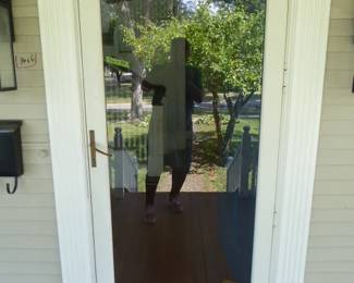 For prices & more info, copy & paste link:  https://beforeudemo.com/sales-event/wheaton-victorian-style-home-demolition-sale/