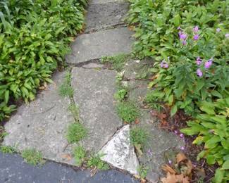 For prices & more info, copy & paste link:  https://beforeudemo.com/sales-event/wheaton-victorian-style-home-demolition-sale/