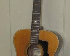 Ventura Bruno Guitar 