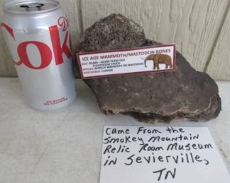 Ice Age Mammoth/Mastodon Bone from the Smokey Mountain Relic Room Museum in Sevierville, TN