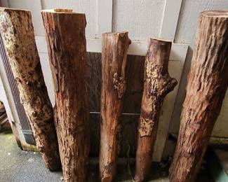 TTT600 - Hardwood Logs (5)