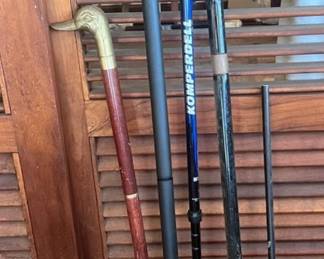 TTT490- Various Canes 