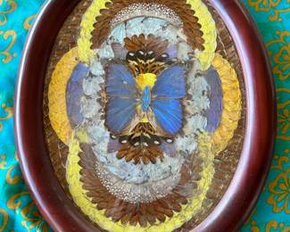 TTT140- Butterfly Wing Art