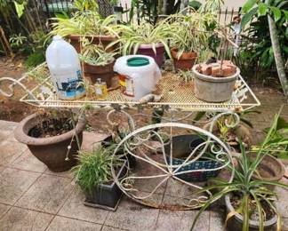 TTT337 Mystery Garden Lot