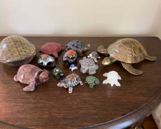 Small sample of vast turtle collection