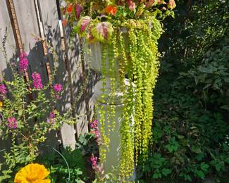 Concrete Urn on Pillar 