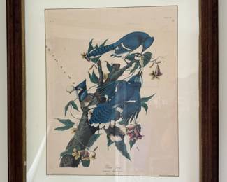 "Blue Jay" Engraving