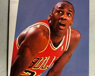Michael Jordan Poster Book