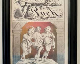 Framed Puck Magazine