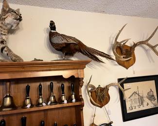 Pheasant - more mounts - more school bells