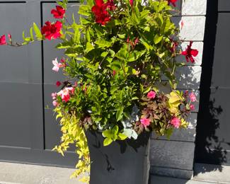 (5) florals in 30" resin pots