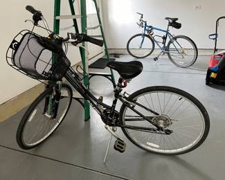 Women's Raleigh bike