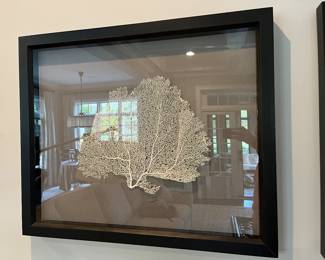 Sea fan coral wall decor.....