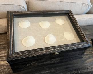 Pottery Barn shadow box