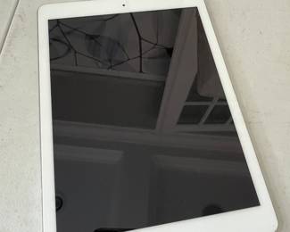 Apple iPad