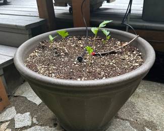 57Aug 22 2024 04 31pmBQjP