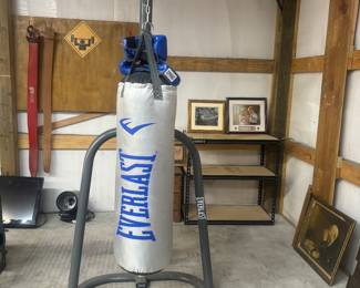 Punching bag and gloves 