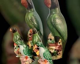 Oriental parrots