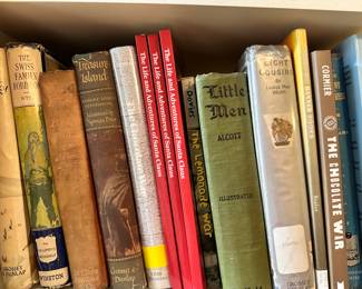 The Swiss Family Robinson, Treasure Island, Little Men, etc
