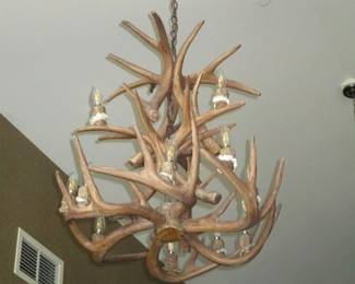 Stag Horn Chandeliers