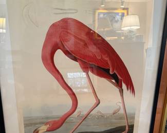 Audoban Flamingo print                                                             frame size 40.5"h x 31"w 