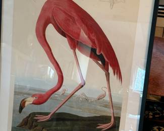 Audoban Flamingo print                                                             frame size 40.5"h x 31"w 