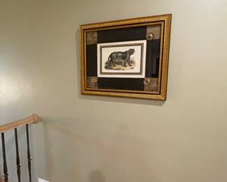 Framed Animal Prints 