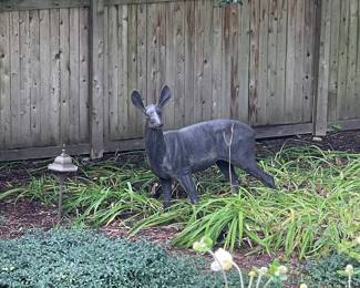 Deer in the Garden 