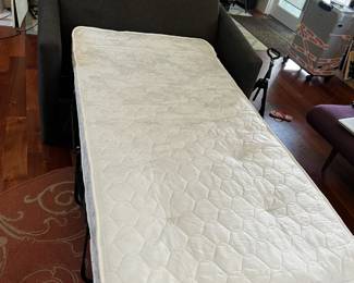 small pull-out couch for sale. 