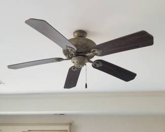 Ceiling fan