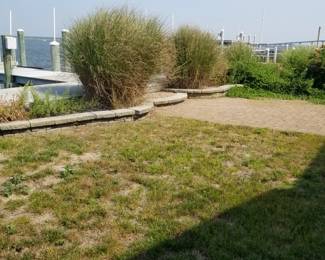 Plants & landscape pavers