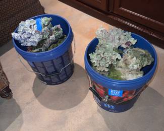 Live Rock filter accessories